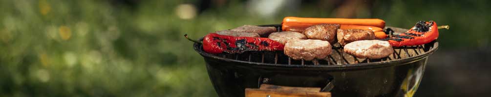 Accessoires Barbecue Campingaz avec Etui Souple — BRYCUS